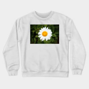 One White Daisy Crewneck Sweatshirt